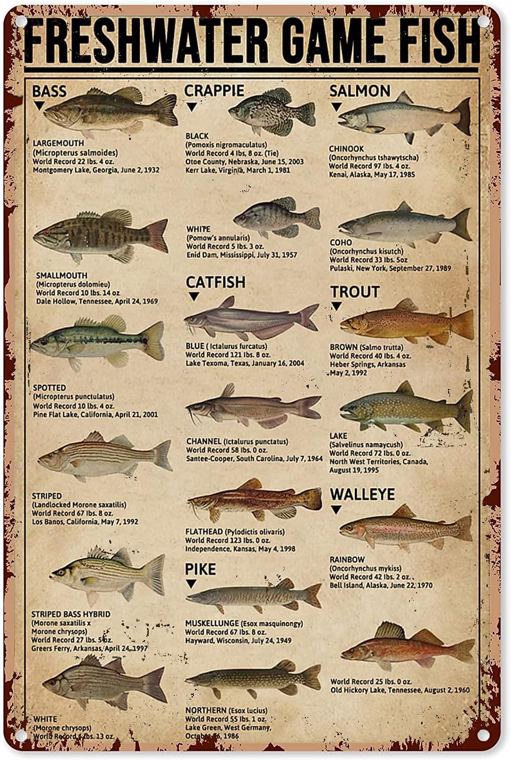 Home Decor Games Free - Y1, Poster artistici da pesca, Targhetta