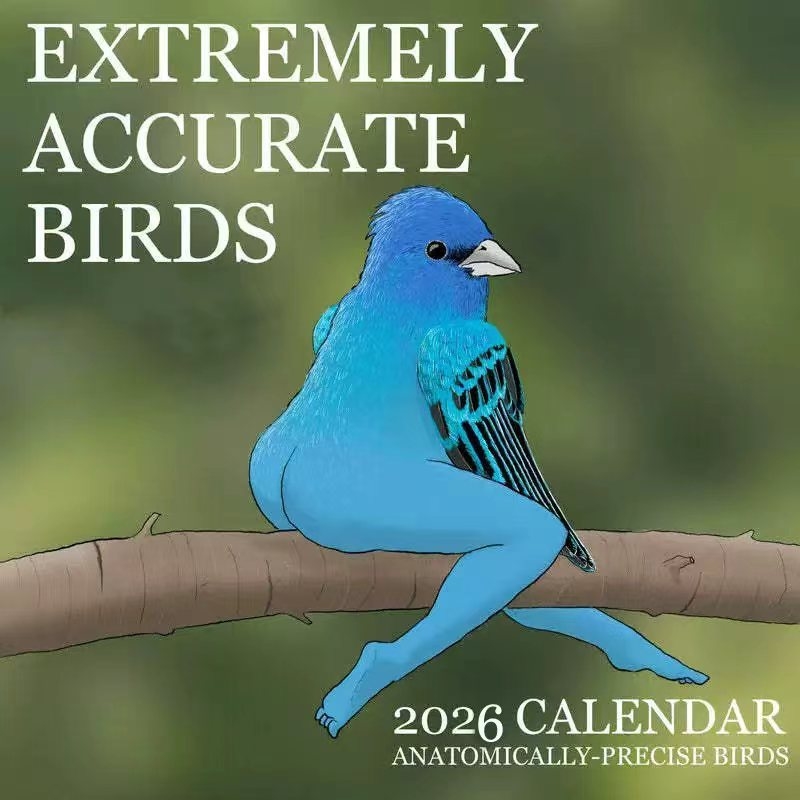CALENDARIO DELLA EXTREMELIA AC - Home Decor Xmas Gifts recensione e prezzo