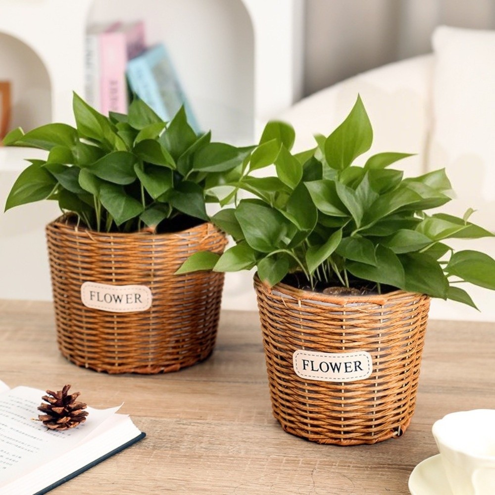 Cesto Decorativo da Tavolo in  - Rattan Plant Basket recensione e prezzo